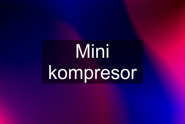 Mini kompresor