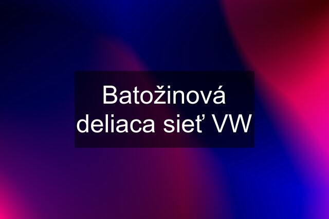 Batožinová deliaca sieť VW