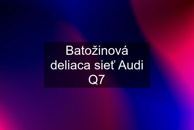 Batožinová deliaca sieť Audi Q7