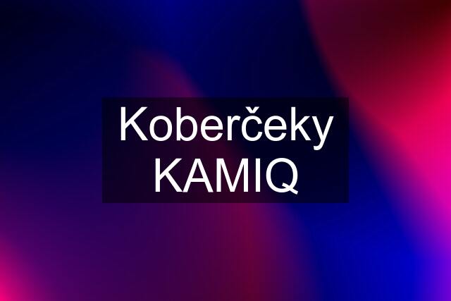 Koberčeky KAMIQ