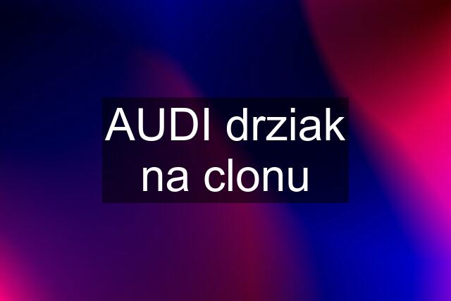 AUDI drziak na clonu