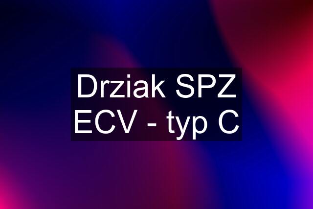 Drziak SPZ ECV - typ C