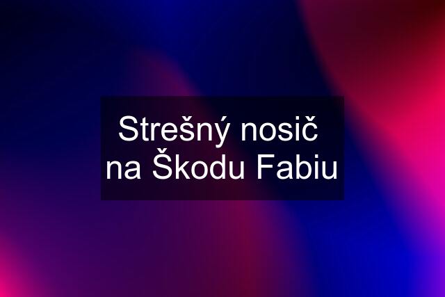 Strešný nosič  na Škodu Fabiu