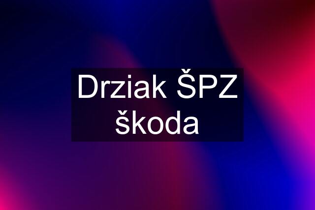 Drziak ŠPZ škoda