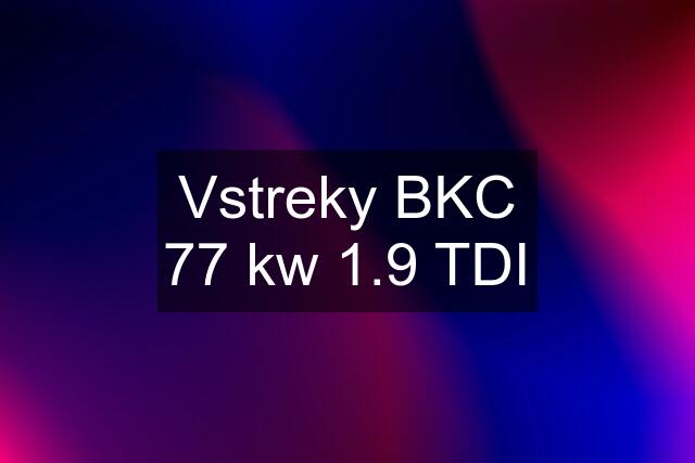 Vstreky BKC 77 kw 1.9 TDI