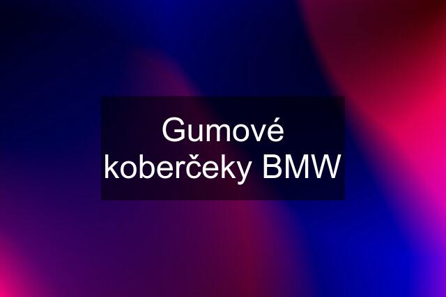 Gumové koberčeky BMW