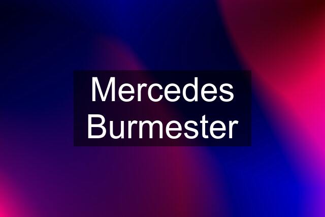 Mercedes Burmester