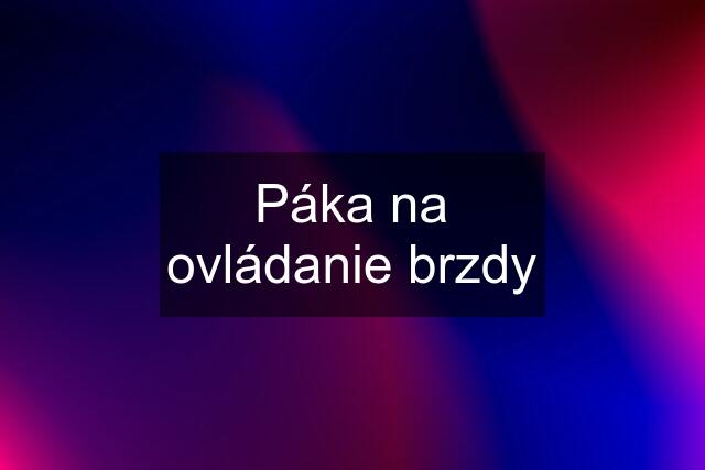 Páka na ovládanie brzdy