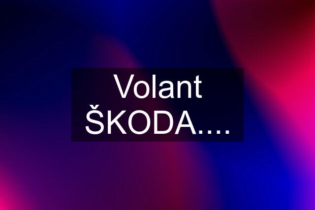 Volant ŠKODA....