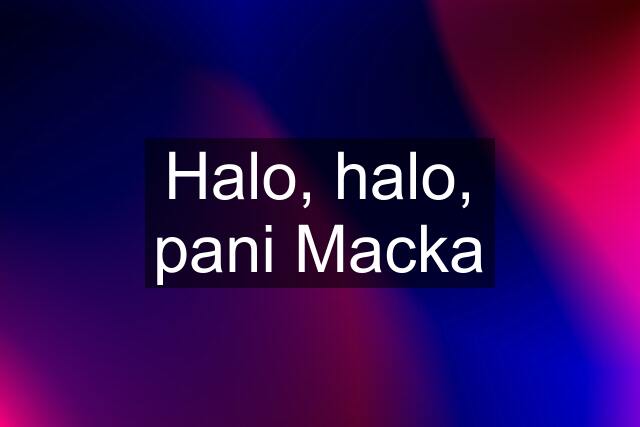 Halo, halo, pani Macka