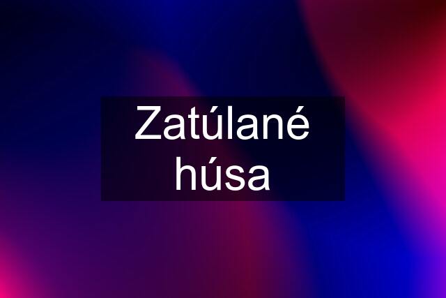 Zatúlané húsa