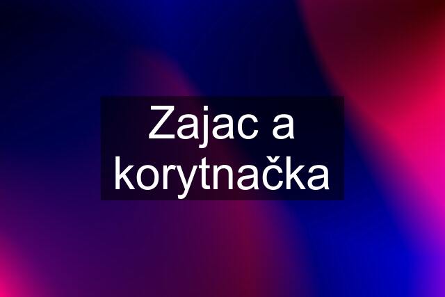 Zajac a korytnačka