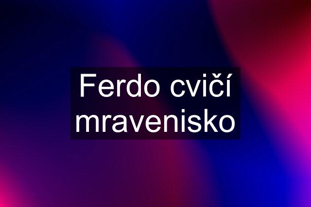 Ferdo cvičí mravenisko