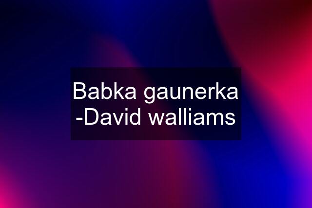 Babka gaunerka -David walliams