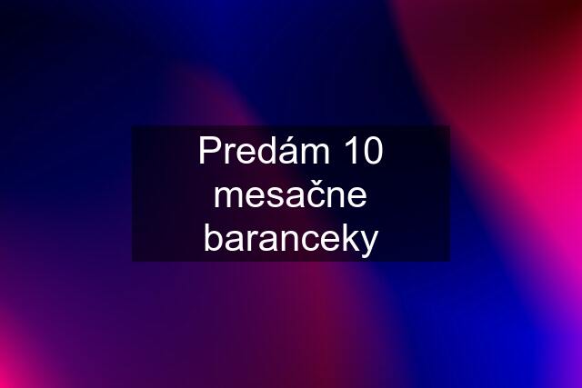 Predám 10 mesačne baranceky