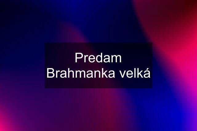 Predam Brahmanka velká