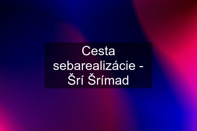 Cesta sebarealizácie - Šrí Šrímad