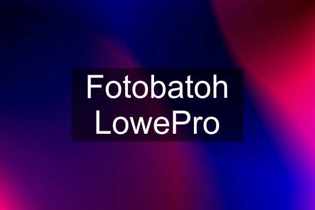 Fotobatoh LowePro