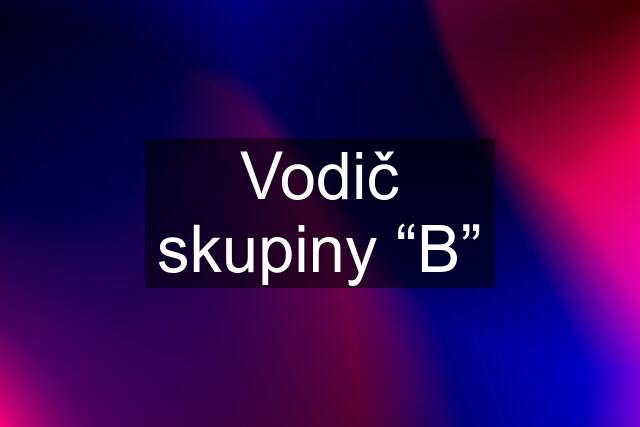 Vodič skupiny “B”