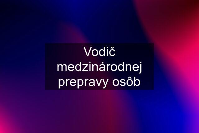 Vodič medzinárodnej prepravy osôb