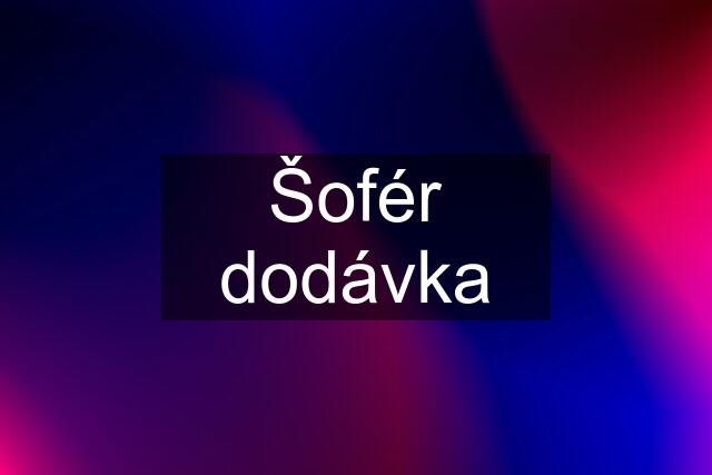 Šofér dodávka