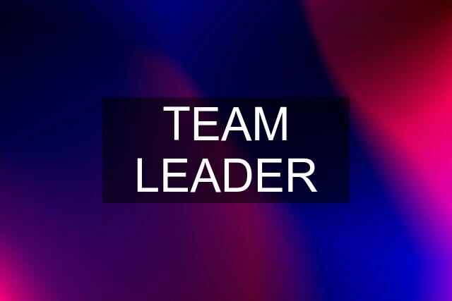 TEAM LEADER