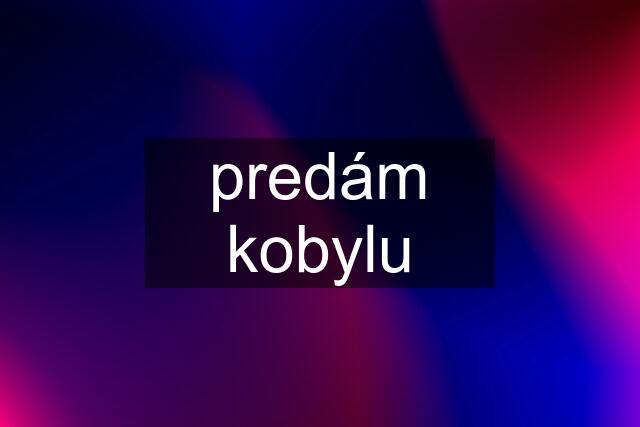 predám kobylu