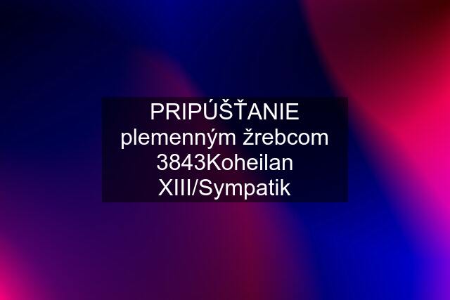 PRIPÚŠŤANIE plemenným žrebcom 3843Koheilan XIII/Sympatik