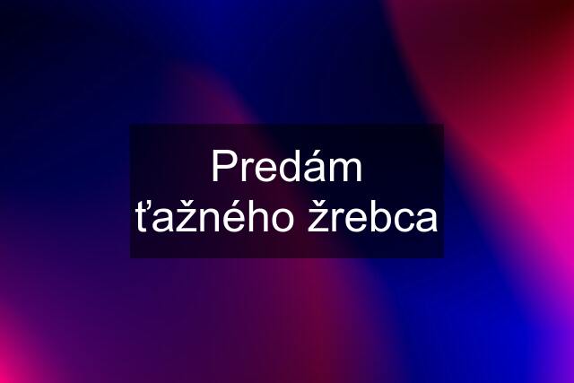 Predám ťažného žrebca