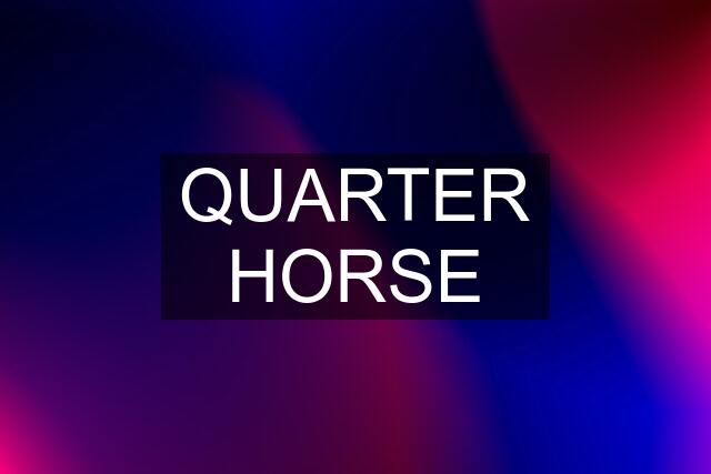 QUARTER HORSE