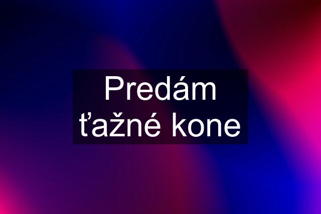 Predám ťažné kone