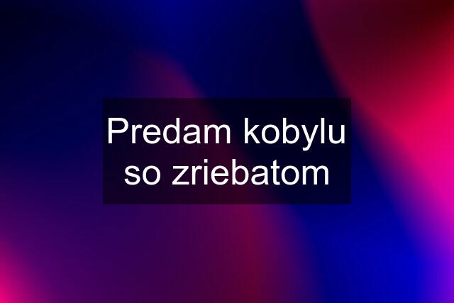 Predam kobylu so zriebatom