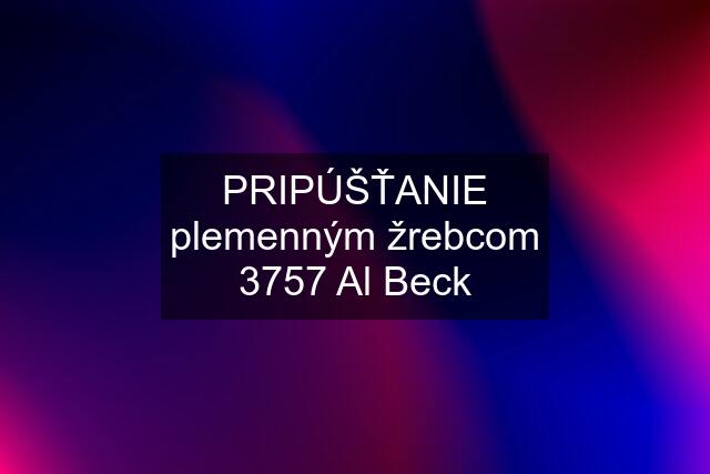 PRIPÚŠŤANIE plemenným žrebcom 3757 Al Beck