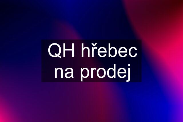 QH hřebec na prodej