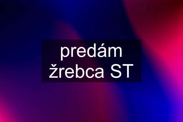 predám žrebca ST