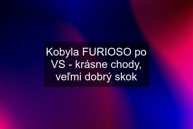 Kobyla FURIOSO po VS - krásne chody, veľmi dobrý skok