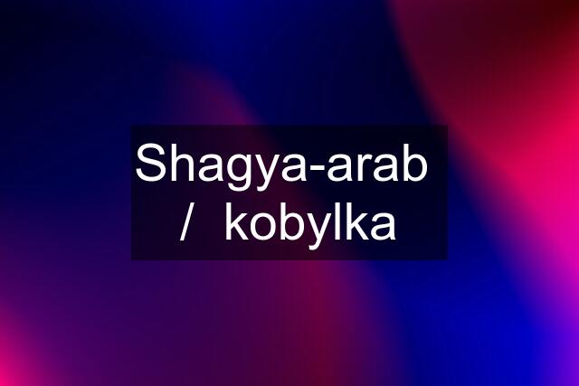 Shagya-arab  /  kobylka