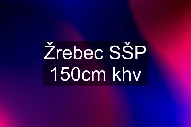 Žrebec SŠP 150cm khv