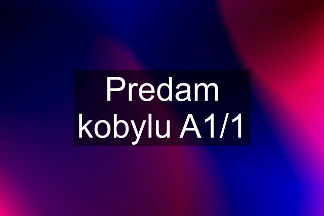 Predam kobylu A1/1