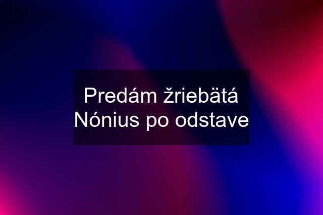 Predám žriebätá Nónius po odstave