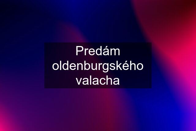 Predám oldenburgského valacha