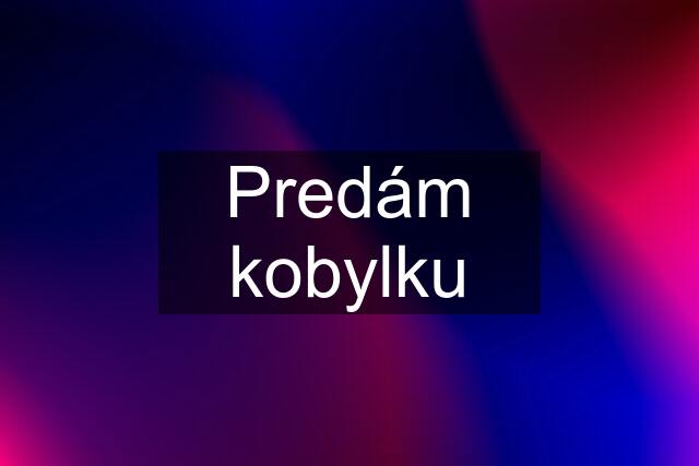 Predám kobylku