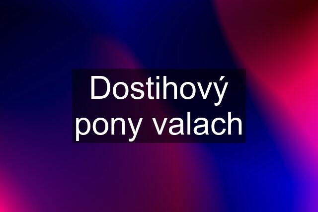 Dostihový pony valach