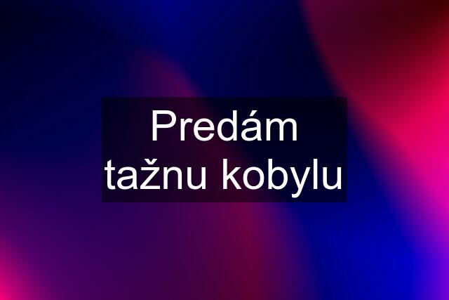 Predám tažnu kobylu