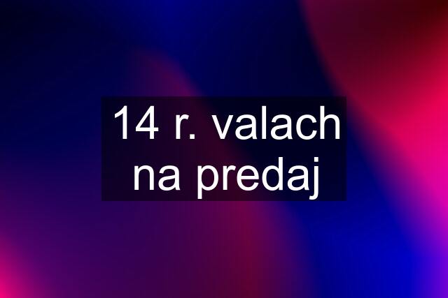 14 r. valach na predaj