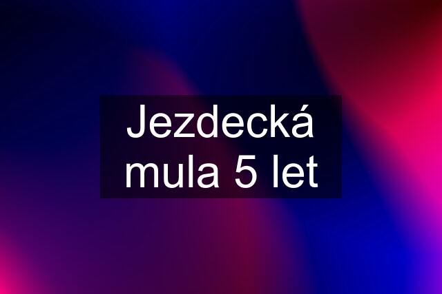 Jezdecká mula 5 let