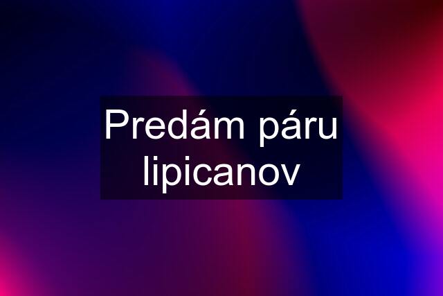 Predám páru lipicanov