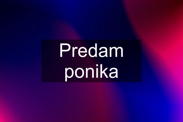 Predam ponika