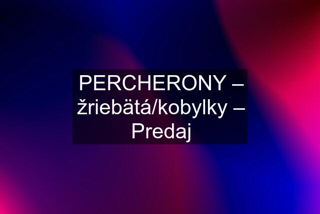 PERCHERONY – žriebätá/kobylky – Predaj