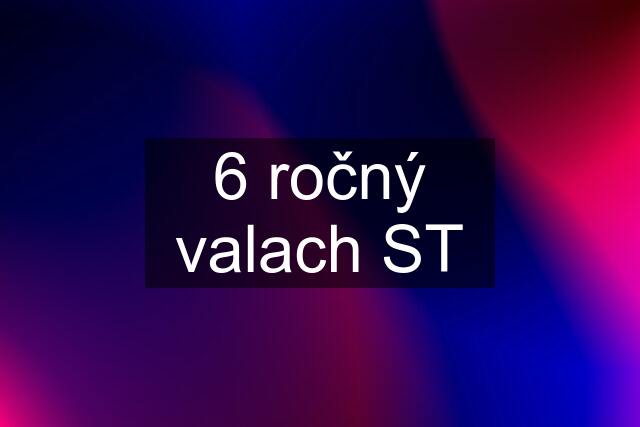 6 ročný valach ST